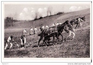 Ясіня на листівках міжвоєнного періоду