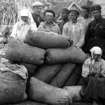 Михайло Мухин: Голодна політика Москви на Україні. Прагматична студія